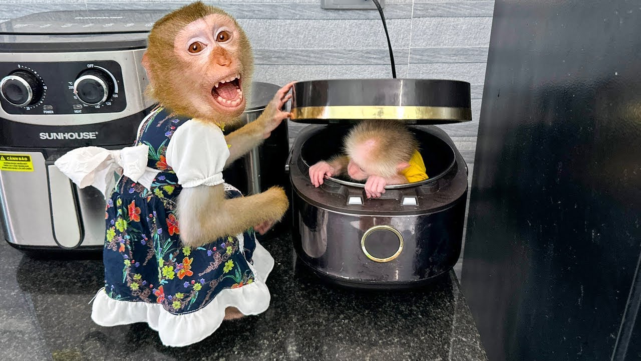 Why did Monkey Kaka lock Monkey Mit in the rice cooker?