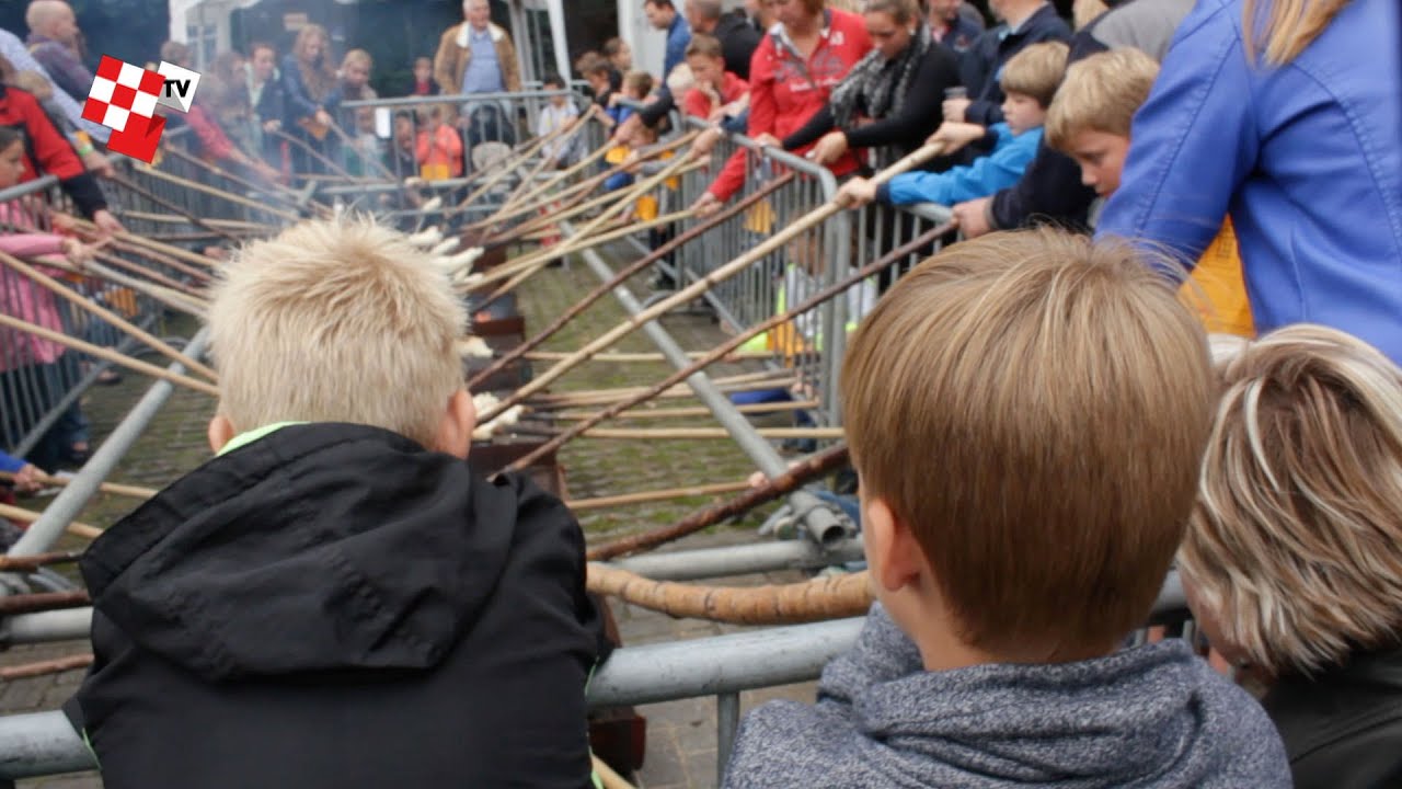 Brabantsedag TV - aflevering 9 - 30-08-2014
