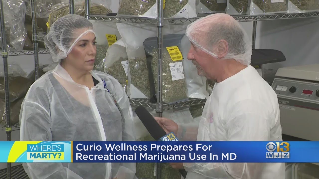 Where's Marty? At Curio Wellness discussing cannabis legalization