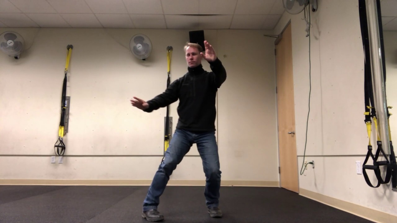 Yang 10 Form - both directions