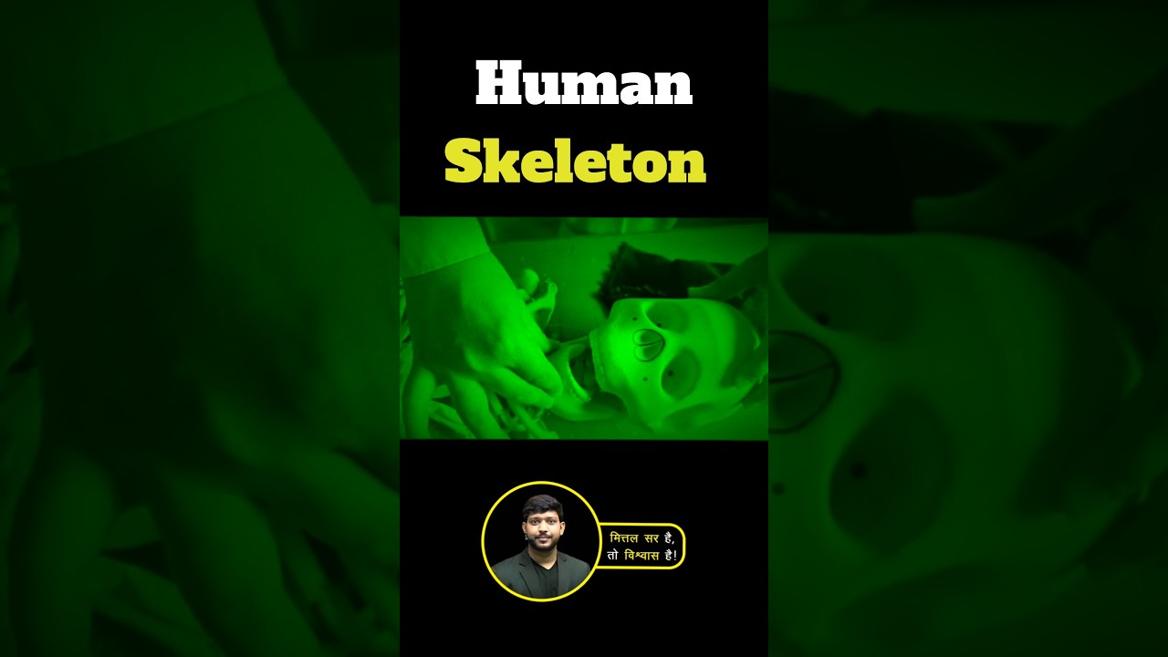 Human Skeleton #neetnexttopper #mittalsir