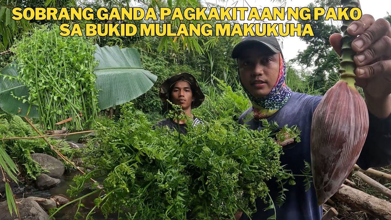 ANLAKAS PAGKAKITAAN NG PAKO YUN NAKUHA NAMIN PAKO 300 NA AGAD ANG HALAGA