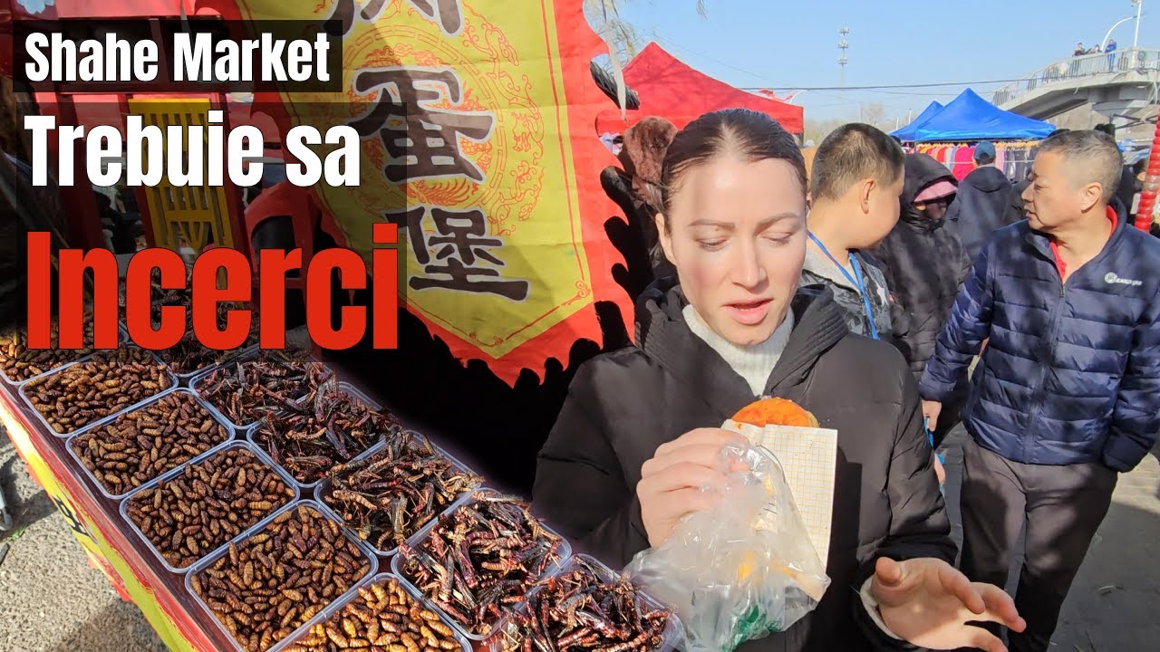 Piața NEVAZUTA din Beijing pe care TREBUIE să o încerci - Shahe Market