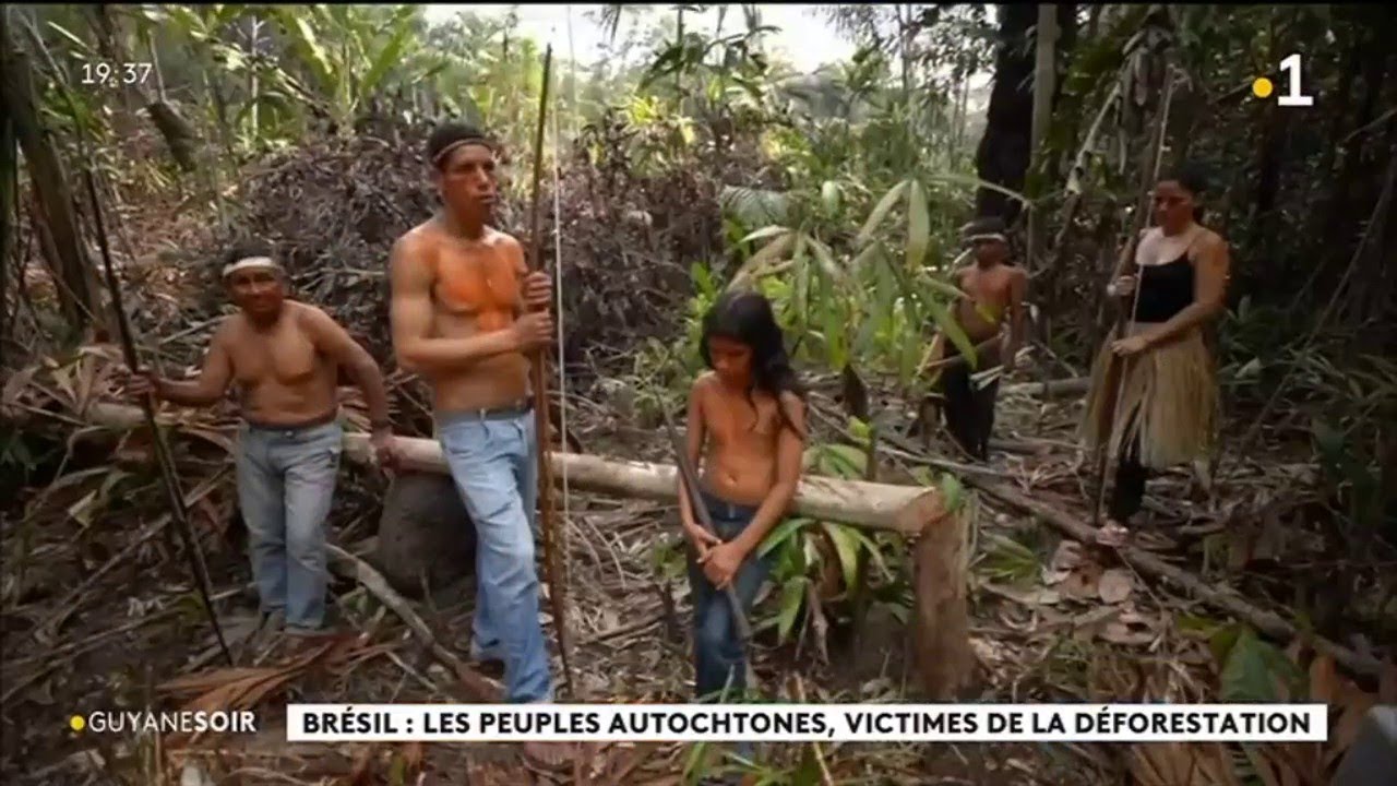 Brésil : les peuples autochtones, victimes de la déforestation