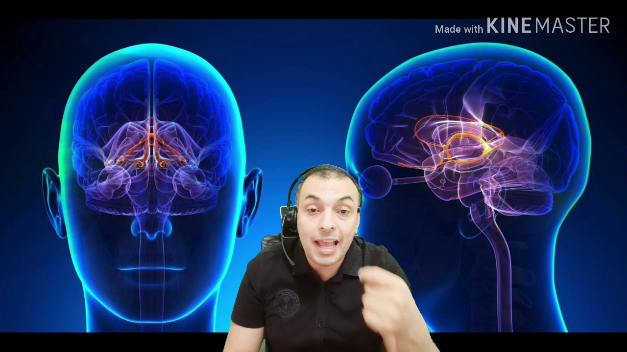 آلية تكون #المشاعر  في الجسم   هل سألت نفسك كيف تتولد المشاعر بداخلنا و كيف نشعر بها