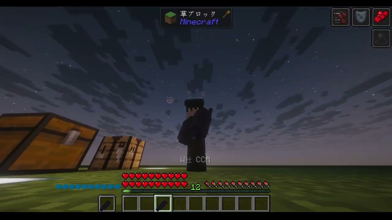 W corp EGO&EGO ver1.2.0