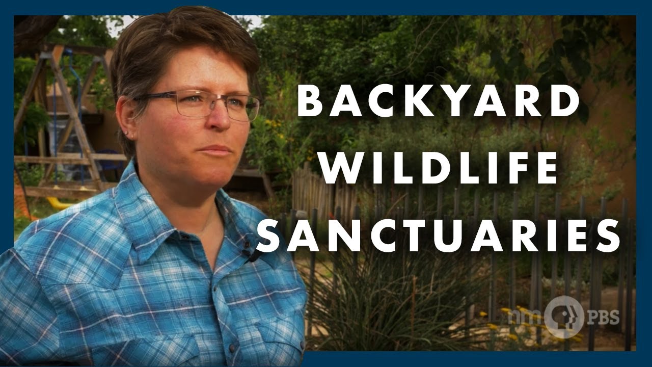 Our Land: Backyard Wildlife Sanctuaries