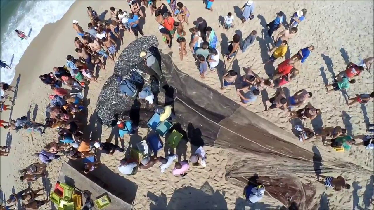 Arte X&aacute;vega en Praia de Mira (Aveiro - Portugal )  Pesca tradicional portuguesa a vista de drone