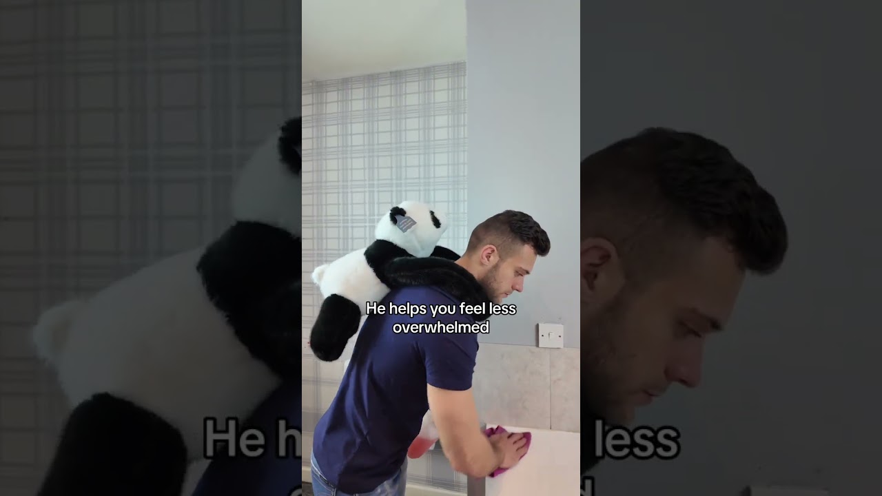 Would you try this weighted stuffed animal? 🐼 #anxietyrelief