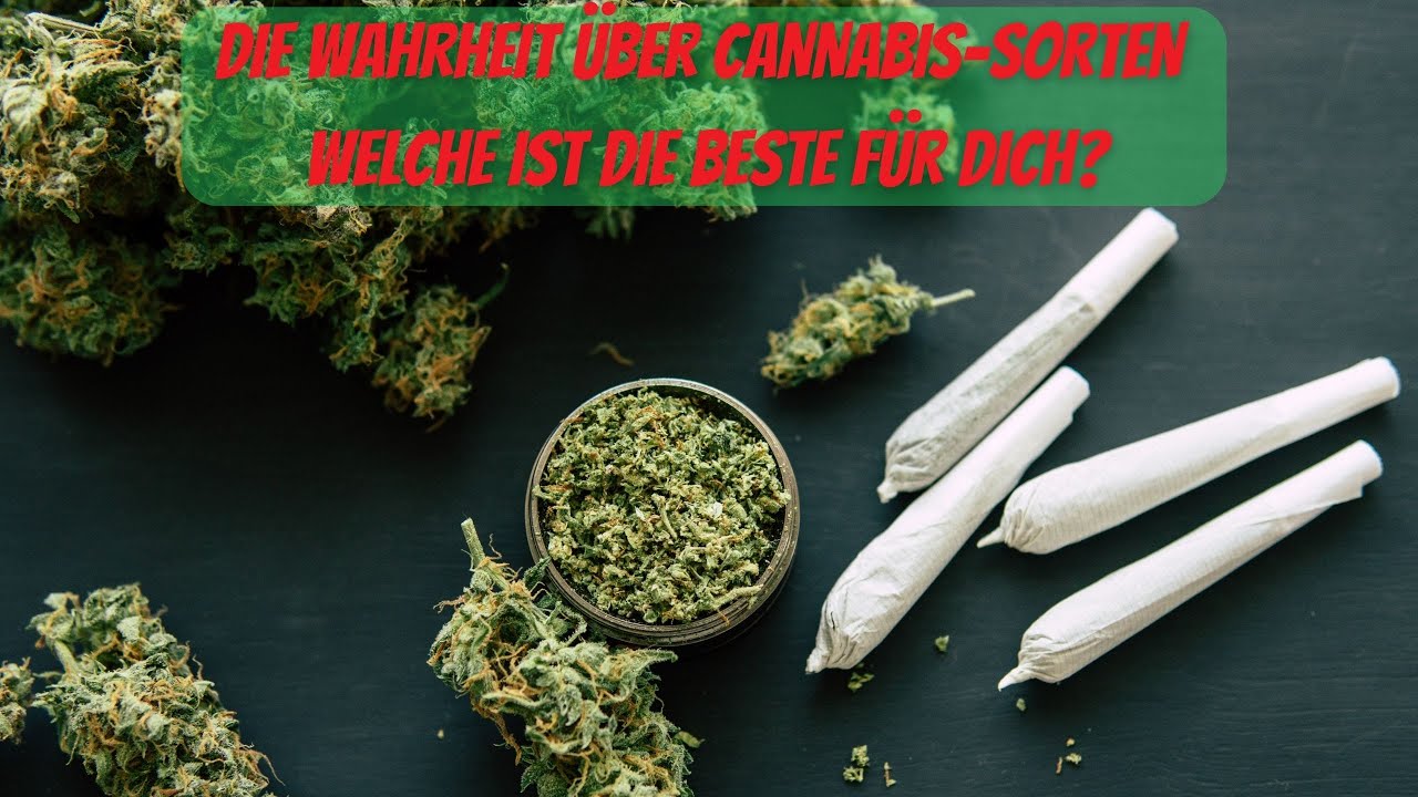 Die Wahrheit &uuml;ber Cannabis Sorten