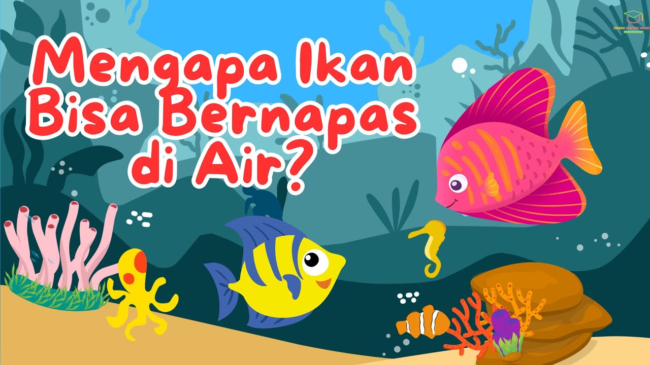 Mengapa Ikan Bisa Bernapas di Air? 