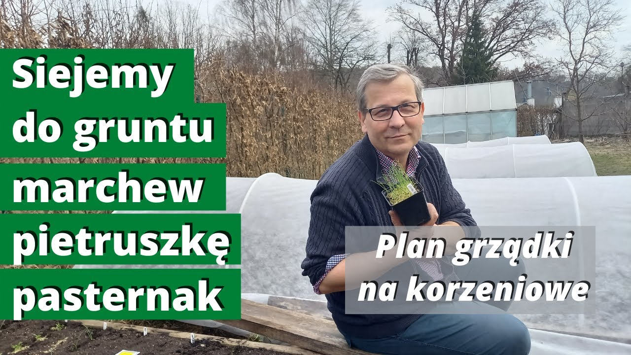 Как сеять в землю морковь, петрушку и пастернак? Почему вместе сажаем лук на морковную грядку?