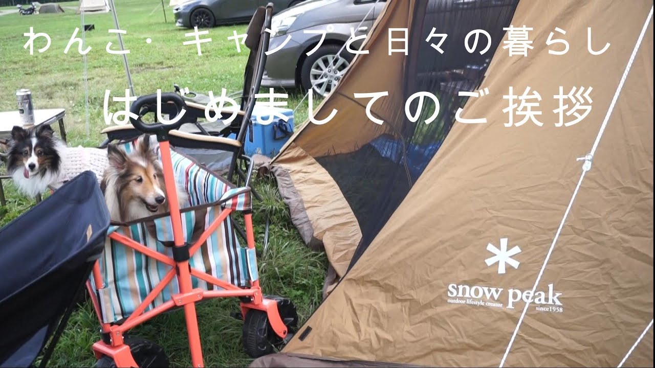 【はじめの一歩。よろしくお願いします♪】