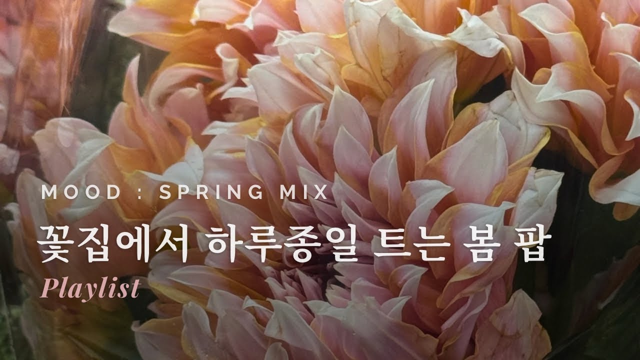playlist | 봄의 문턱에서 듣는 햇살같은 인디팝🌸( Mellow Indie Pop)