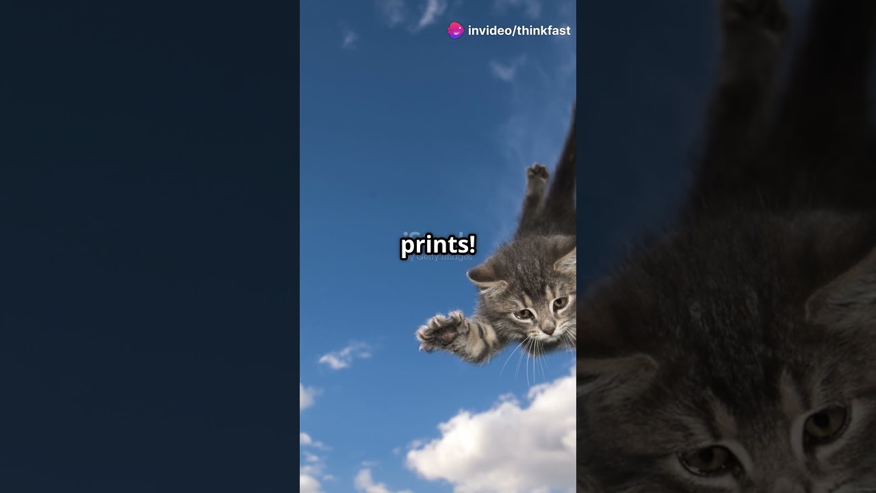 What you never know about Cats!! 