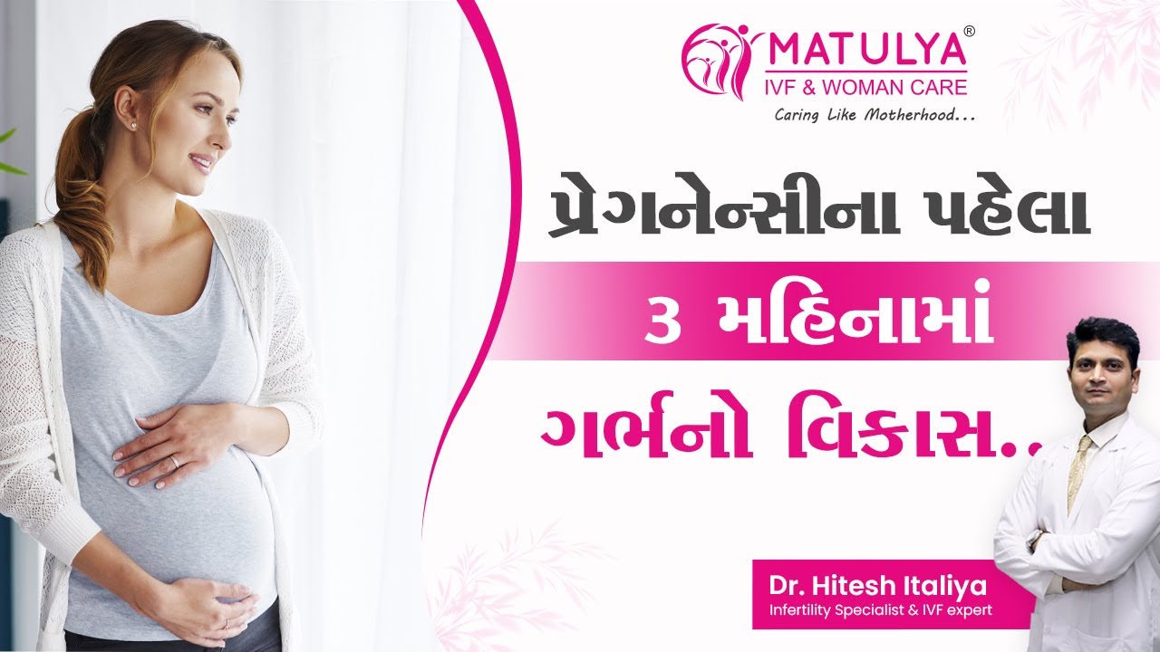 પ્રેગનેન્સીના પહેલા ૩ મહિનામાં ગર્ભનો વિકાસ... BABY GROWTH IN 3 MONTH |Matulya IVF & Woman care