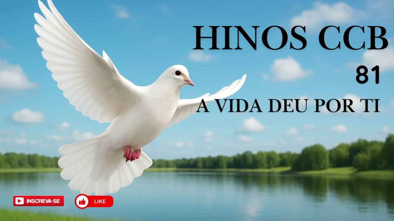 HINO  CCB -  81 |  A VIDA DEU POR TI