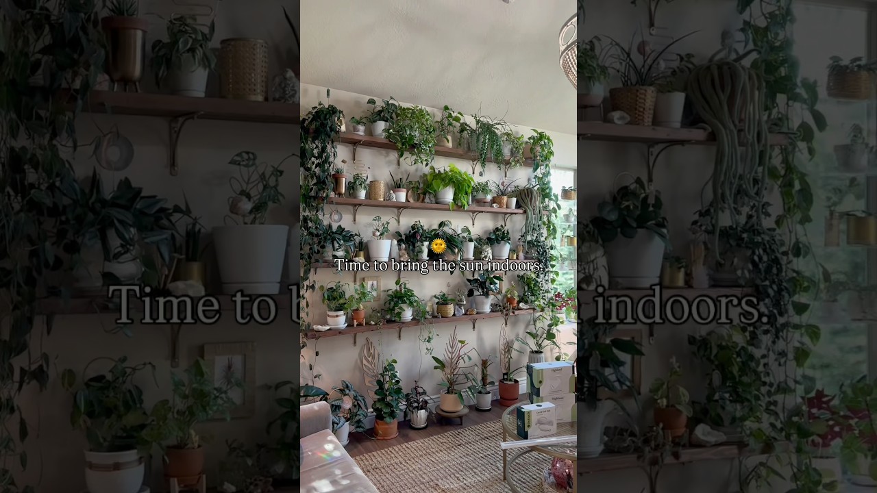 Bringing the Sun Indoors | Soltech Highland Grow Light Install 🌞🪴