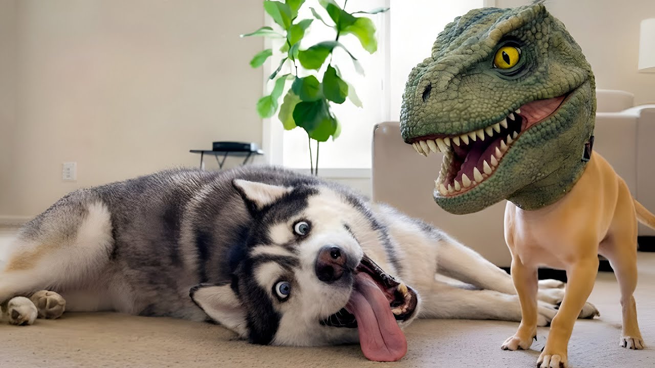 Funniest Dog and Cat Reactions 😱 Best Funny Pet Moments 2026