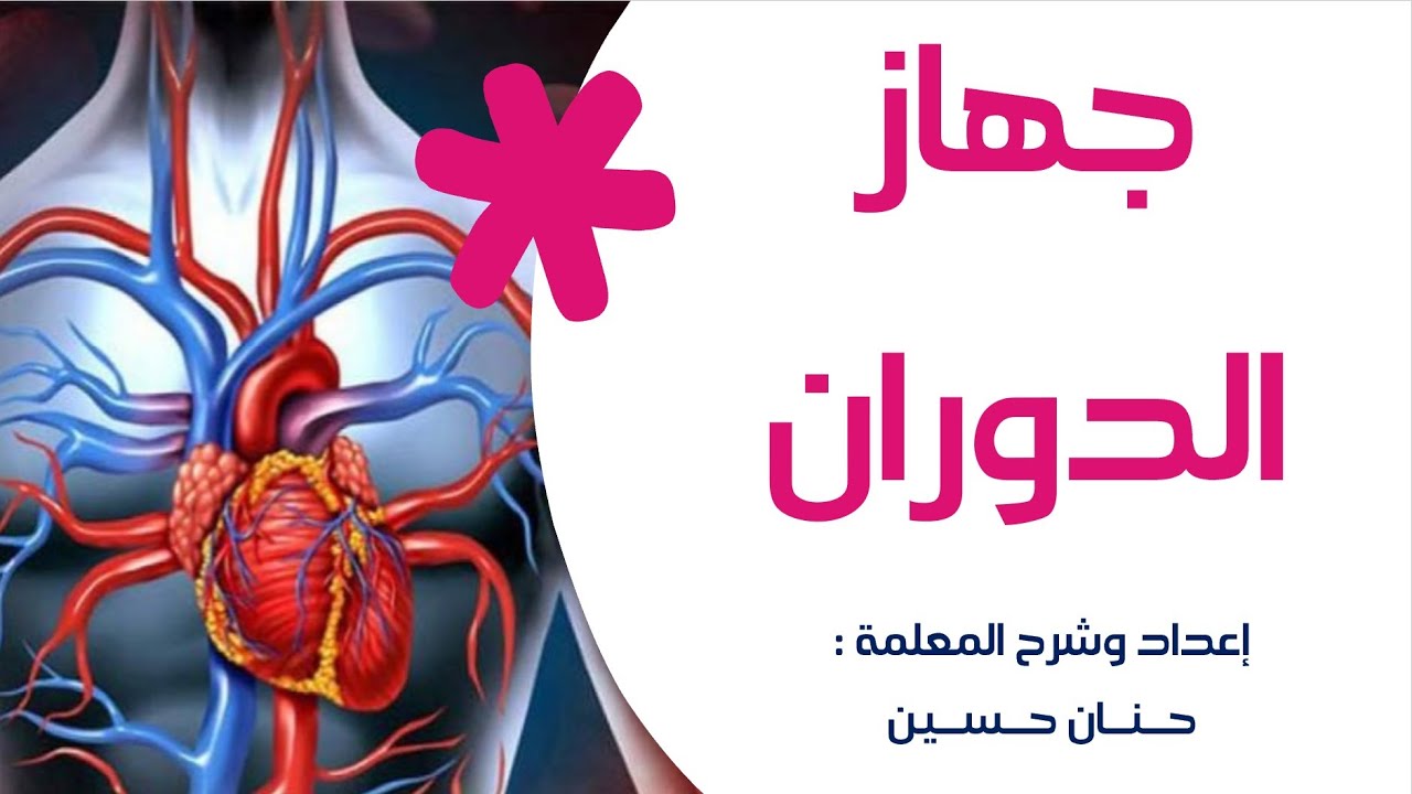 الصف الخامس : جهاز الدوران