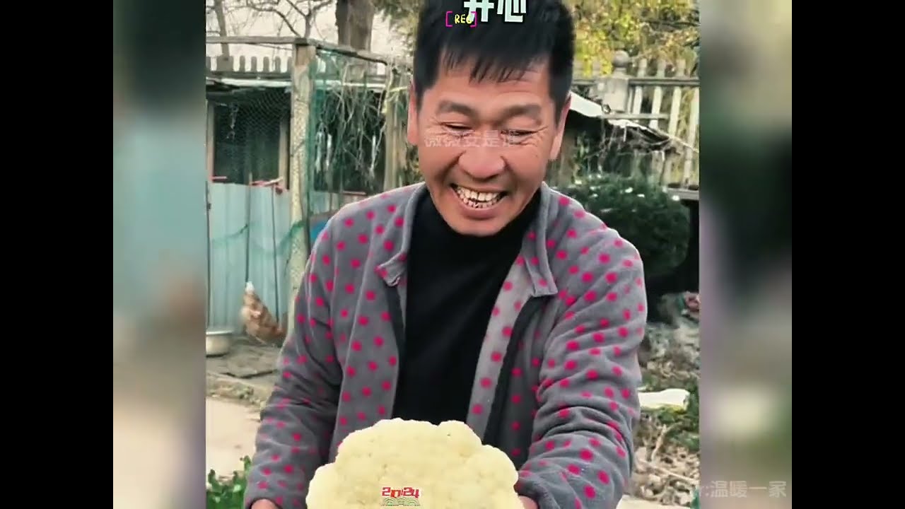 盘点北方老丈人再南方的幸福生活！#老丈人#老丈人和女婿