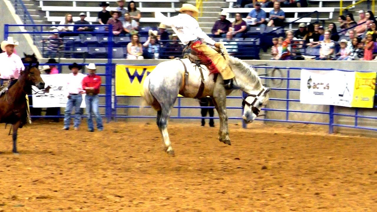 Ranch Broncs - 2019 (32nd) Coors Cowboy Club Ranch Rodeo (Friday)