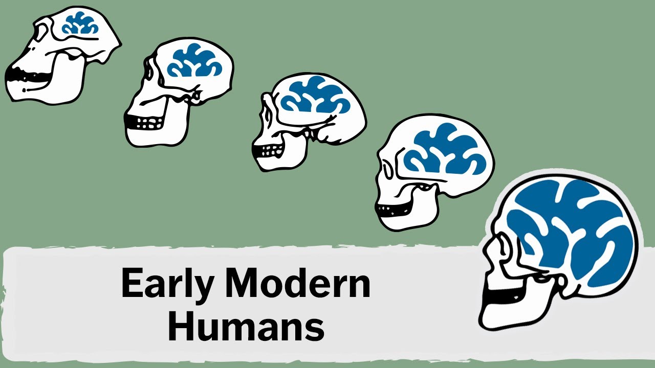 Early Human Ancestors: Ep1 World History Basics