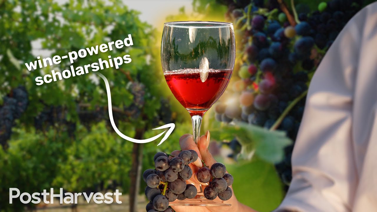 Wine-Powered Scholarships at UC Davis