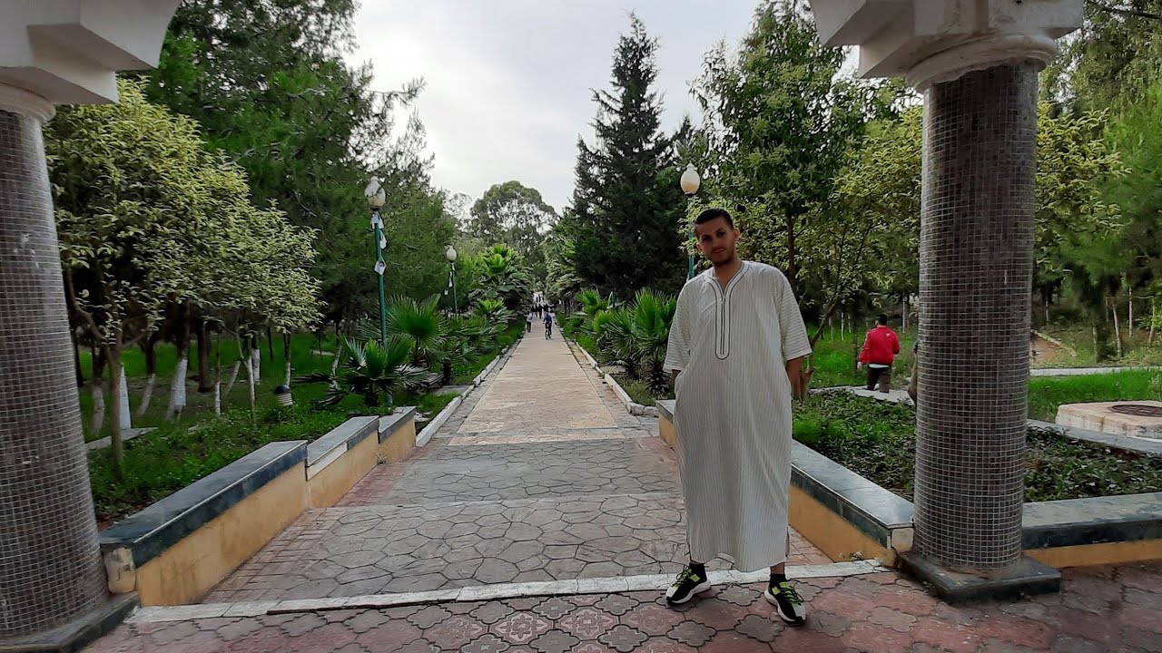 جولة في غابة 