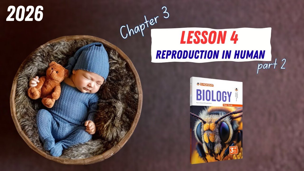 CHAPTER 3 | Lesson 4 | ELMOASSER | reproduction in human | part 2