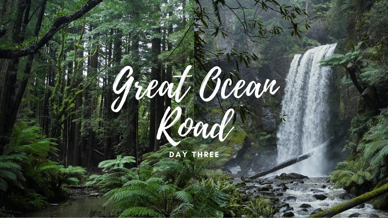 The Otways Redwood Forest & Hopetoun Falls | Pebble Point Glamping Review | Great Ocean Road Day 3
