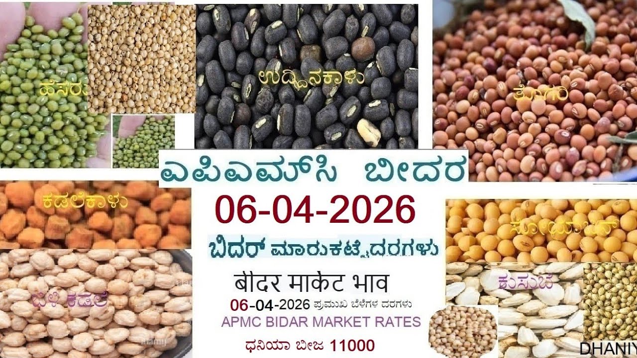 06-04-2026 Apmc Bidar Market Rate #agriculture #apmcrate #apmcbhav 