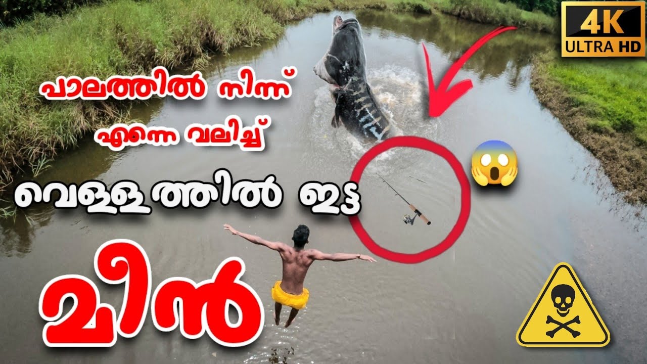 എന്റെ ചൂണ്ടയുംകൊണ്ട് മീൻ പോയി 😭😭😭😭😭