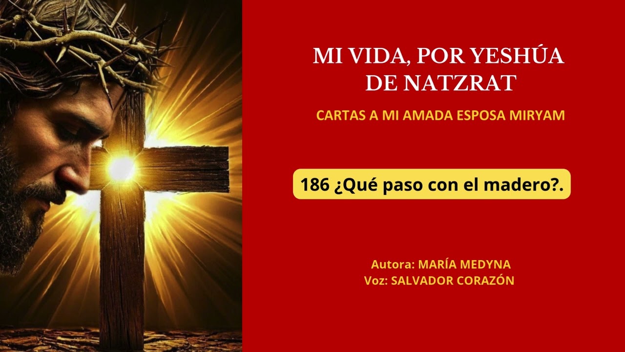 Audio. Capítulo 186. ¿Qué pasó con el madero?