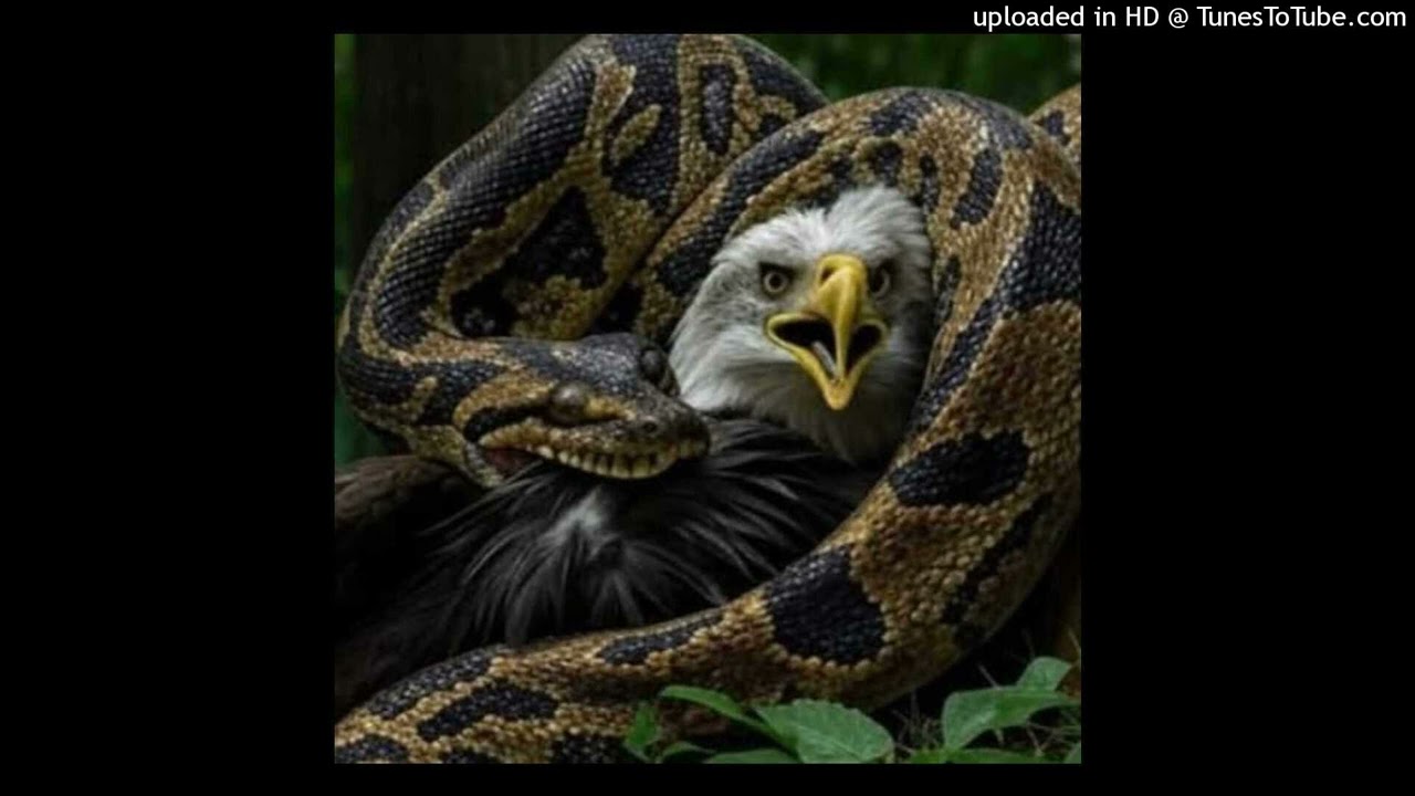 Shif -EYE ON YOU(ft.impobrediablo)