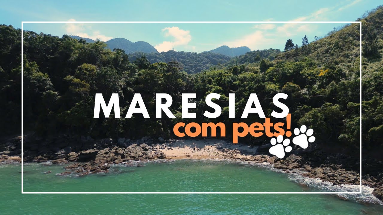 MARESIAS SP o que fazer? Melhor Pousada PET FRIENDLY do Litoral! Dicas pra levar cachorro na praia!