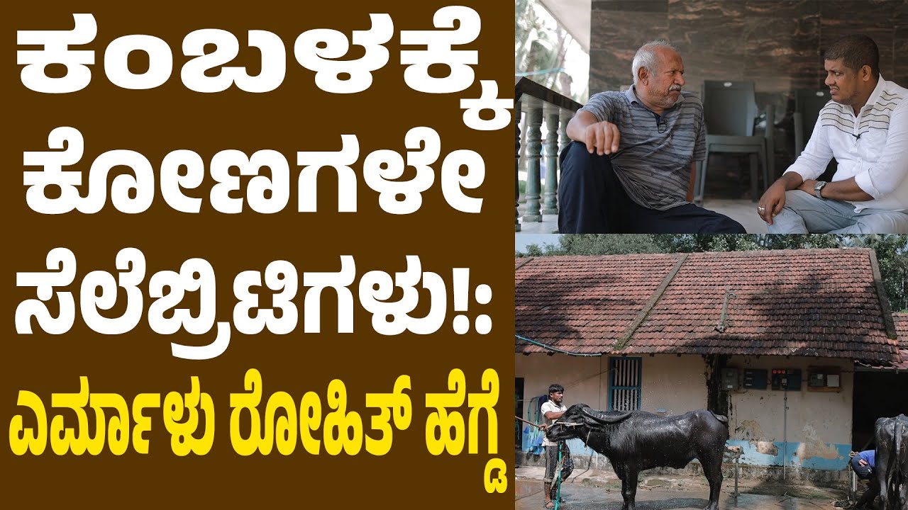 Bengaluru Kambalaಕ್ಕೆ ರೆಡಿ ಮುನ್ನ-ದೂಜ | 3ಜೋಡಿ ಕೋಣಗಳೊಂದಿಗೆ ಪಯಣಿಸಲು ಎರ್ಮಾಳ್ ಟೀಮ್ ಸನ್ನದ್ಧ | ಕಂಬಳ Suddi-1