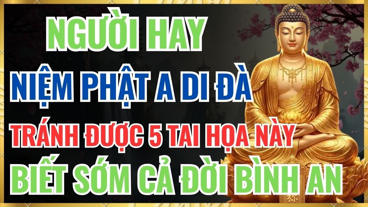 PHẬT DẠY: NGƯỜI HAY NIỆM PHẬT A DI ĐÀ THƯỜNG TRÁNH ĐƯỢC 5 TAI HỌA NÀY – BIẾT SỚM CẢ ĐỜI BÌNH AN.