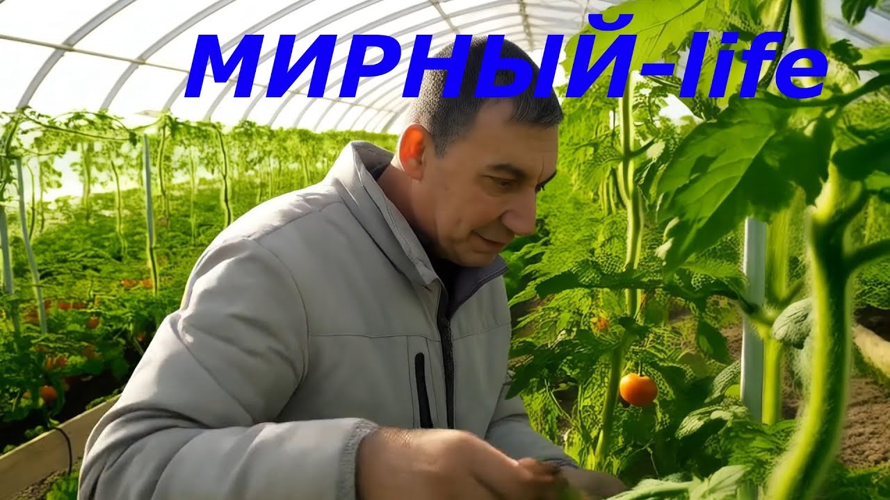 Как я превратился в дачника за один день