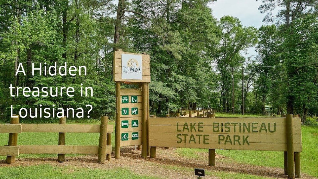Lake bistineau State park in Louisiana.