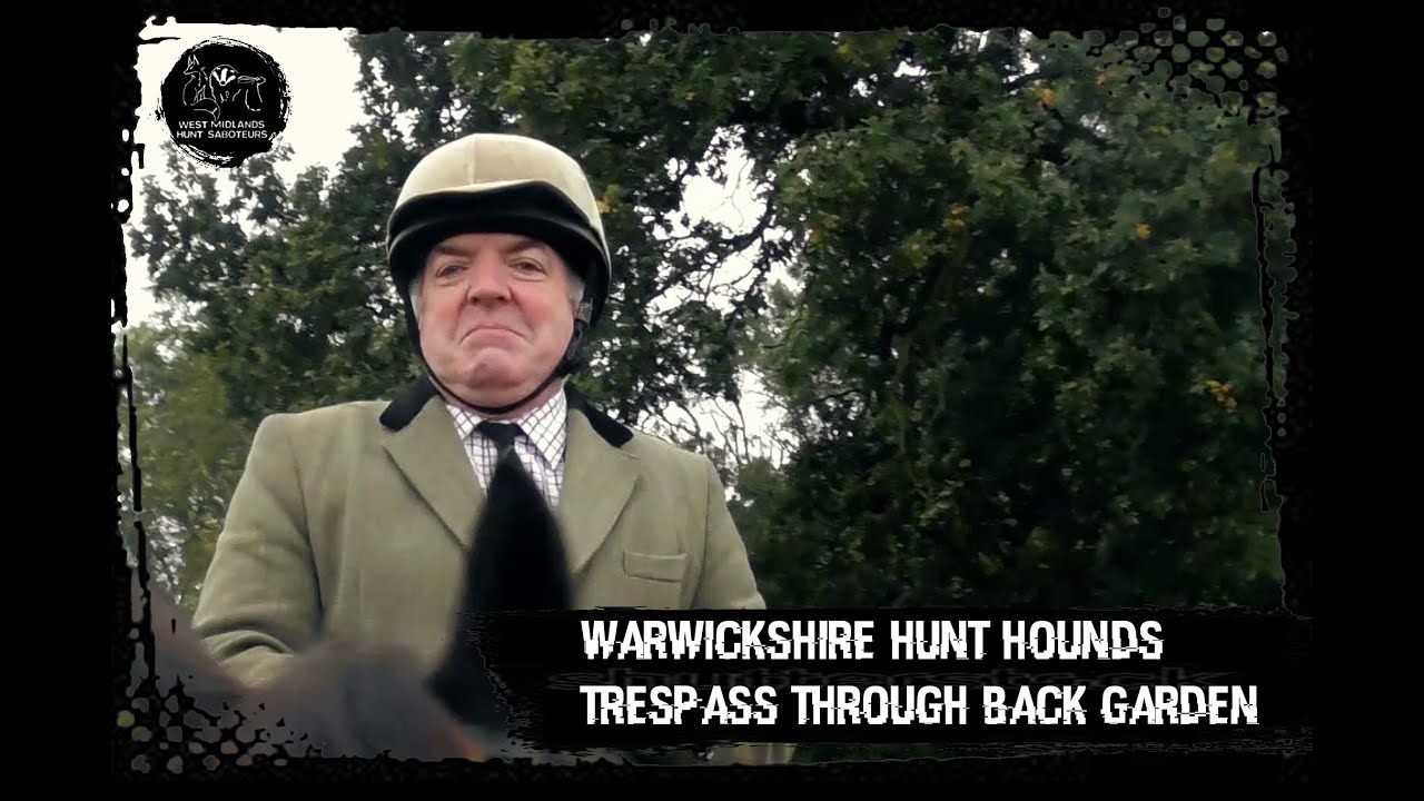 Warwickshire Hunt hounds trespass through back garden