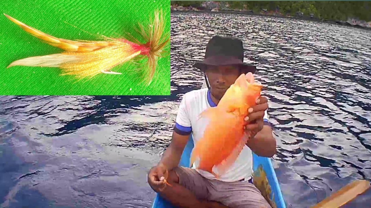 Umpan ini yang disukai ikan kerapu merah 