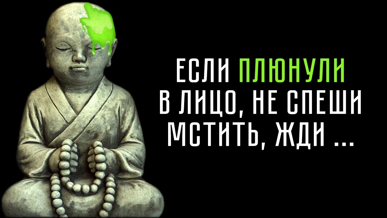 Плевок в лицо. Буддийская притча.