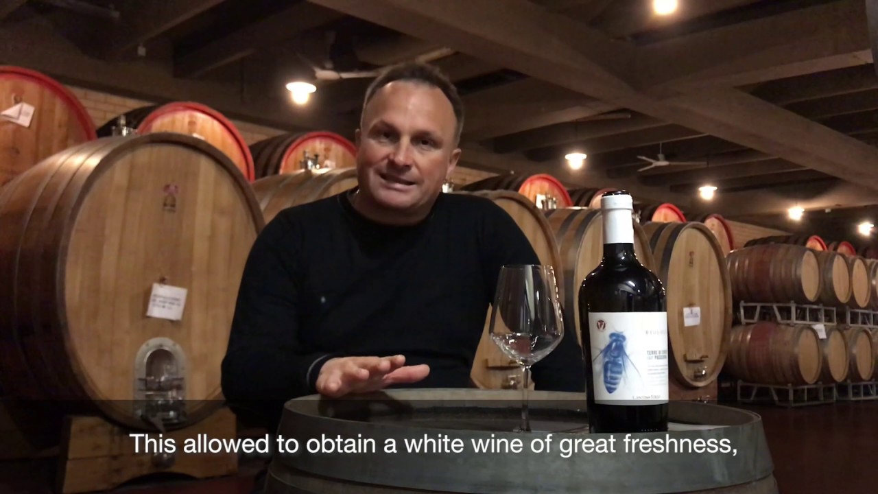 Passerina Terre di Chieti Igp Organic | Cantina Tollo