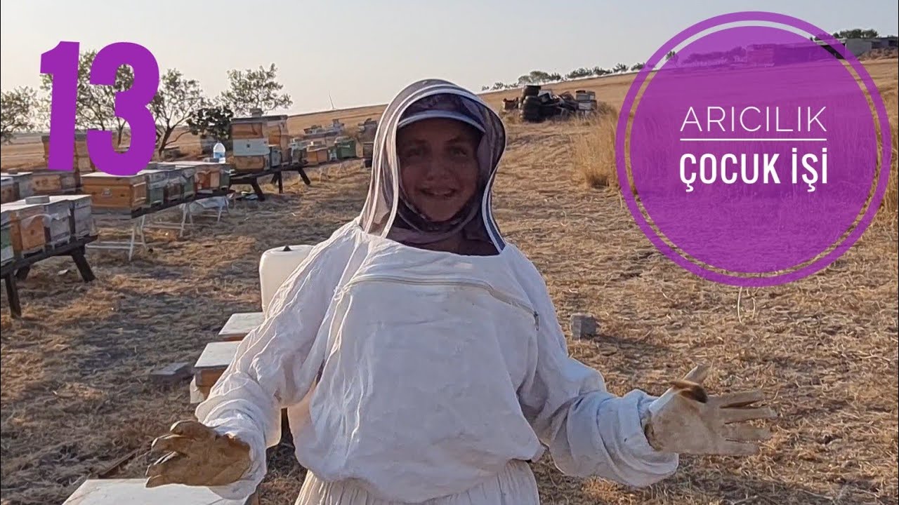 Arı birleştirme en garanti yöntem, #minel arıcılık öğreniyor 13