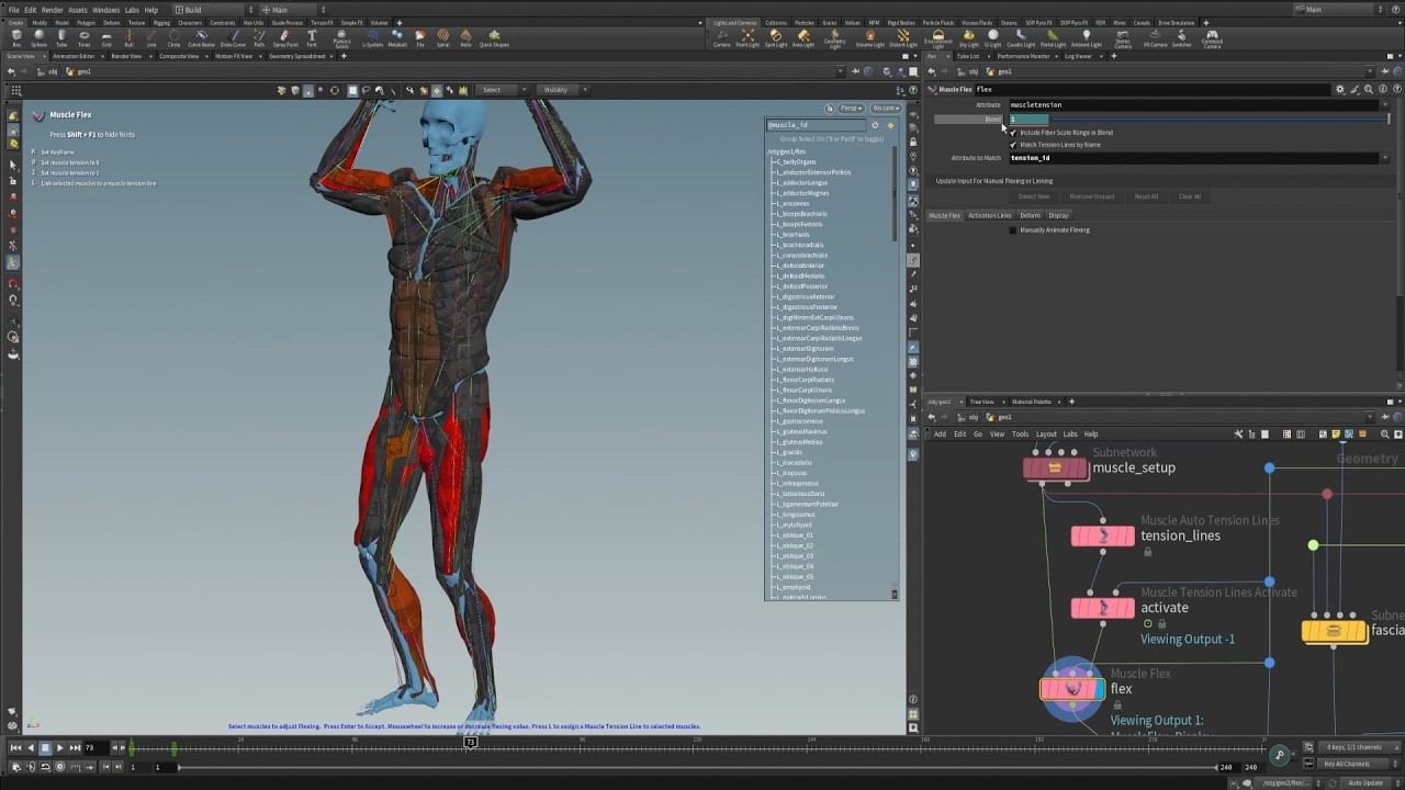 Мастер-класс Muscles H21 10 | Muscle Flex