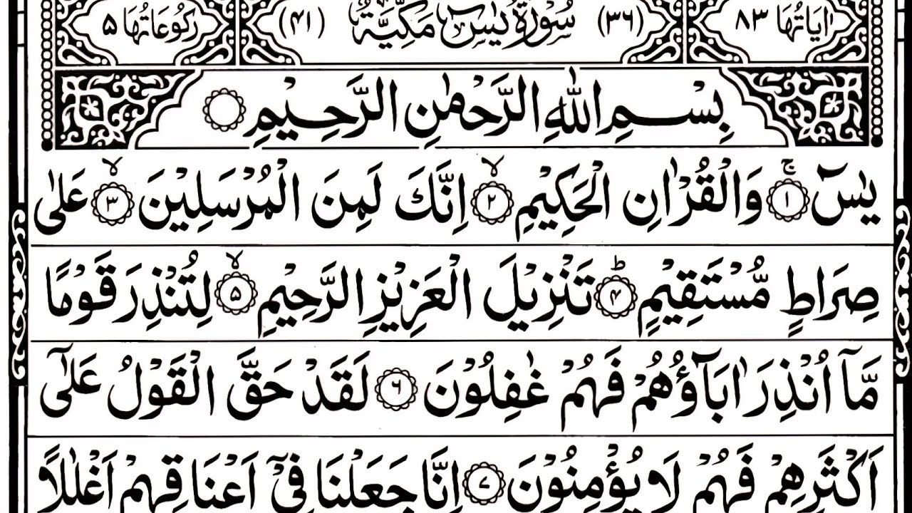 Surah Yaseen Surah Rahman | Beautiful Quran Reaction | Yasin shareef 