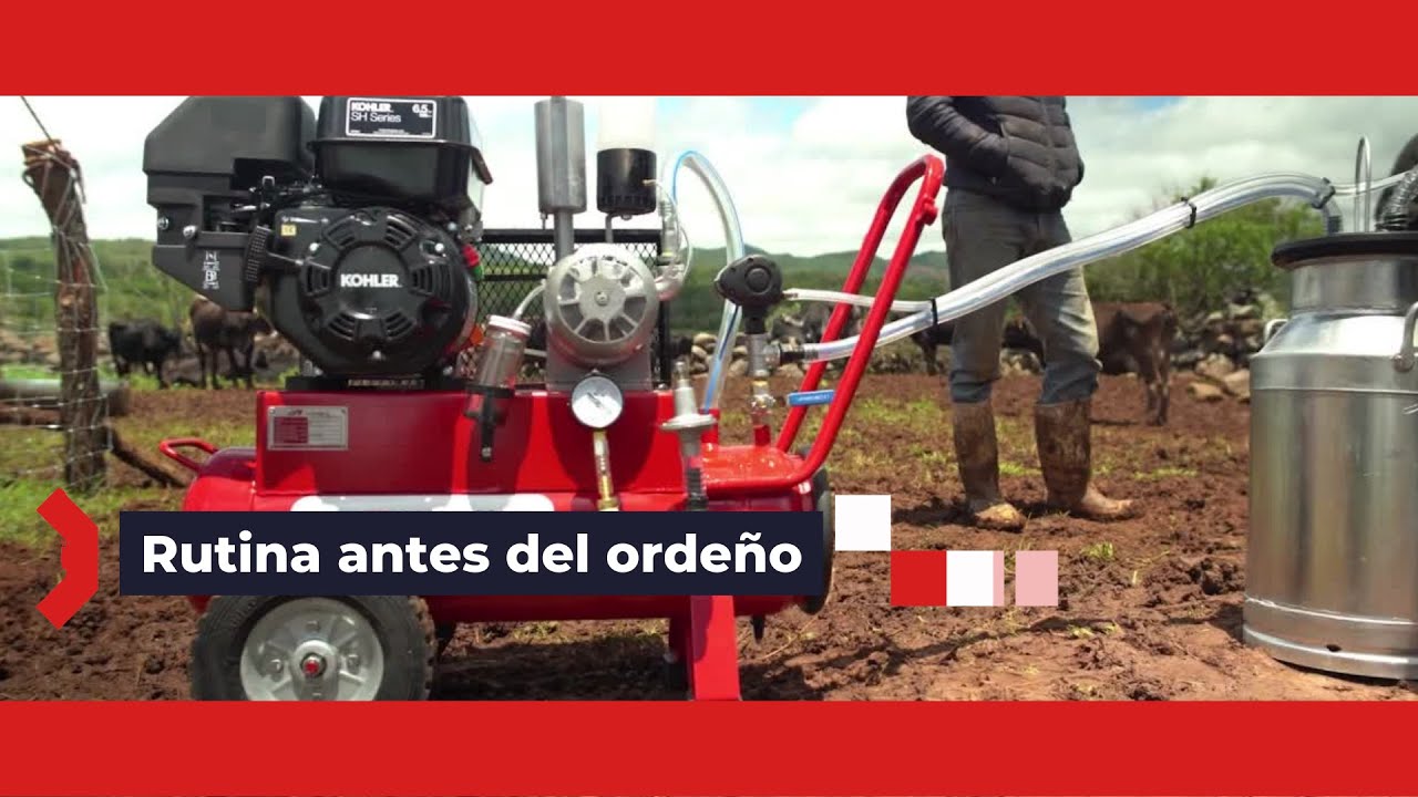 C&oacute;mo Usar Una Orde&ntilde;adora para Vacas (1) | Rutina Antes del Orde&ntilde;o | Tutorial | Orde&ntilde;adoras Agromex