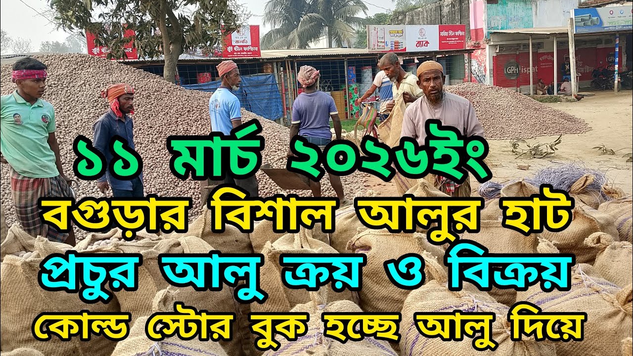 ১১ মার্চ ২০২৬ইং বগুড়ার বিখ্যাত আলুর হাট| আলুর দাম সম্পর্কে বিস্তারিত| আলুর চাহিদা বাড়ছে #আলুরহাট২০২৬