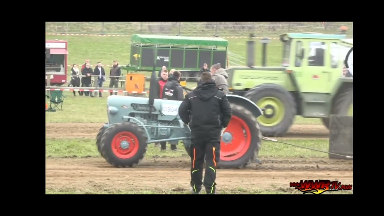 Eicher Königstiger EA400 Trecker Treck Klein Vollstedt 2023 Platz 2